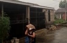 Mengapa Ancaman Kabut Asap di Palembang Masih Tinggi meski Hujan Turun?