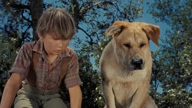Old Yeller (1957)