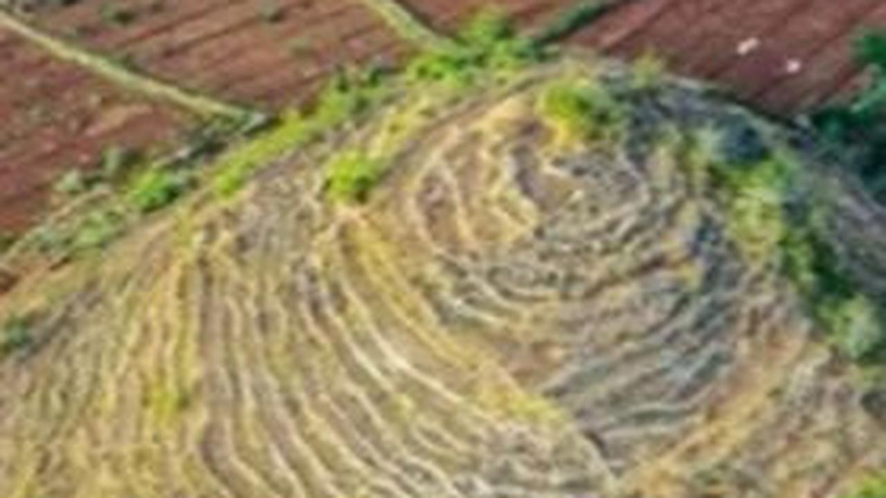 Fakta Unik Bentang Alam Kabupaten Gunungkidul, Dulunya Hamparan Lautan yang Kini Jadi Deretan Pegunungan
