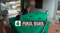 Objek buaya diganti oleh para pemuda yang berada di bawah karpet hijau.