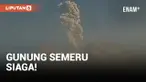 Gunung Semeru Kembali Semburkan Awan Panas