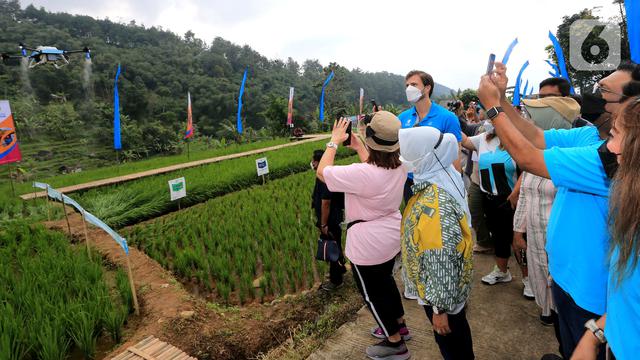 Bayer Perluas Program Pemberdayaan bagi Kelurga Tani