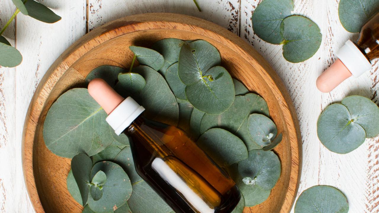 Ilustrasi Minyak Esensial Aroma Eucalyptus (©Freepik)
