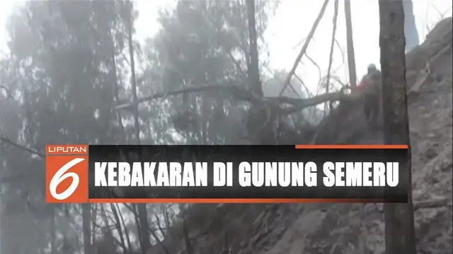 Titik Api Akibat Kebakaran Hutan di Gunung Semeru Menurun
