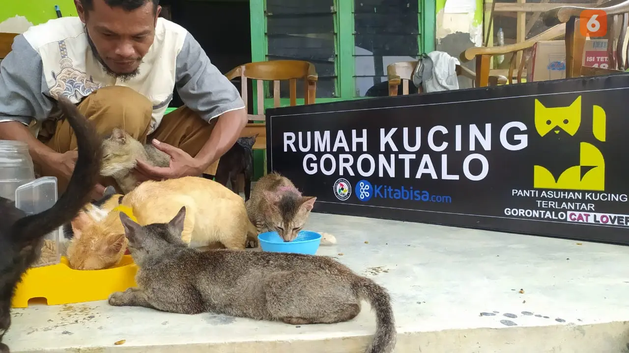 Mohamad Djafar, warga Gorontalo yang mendirikan Panti Asuhan Kucing Terlantar (Foto: Arfandi Ibrahim/Liputan6.com)