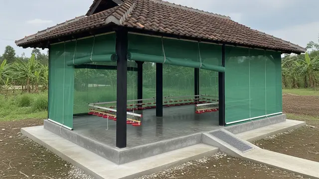 Kandang Ayam Lantai Semen Minimalis Mudah Dibersihkan