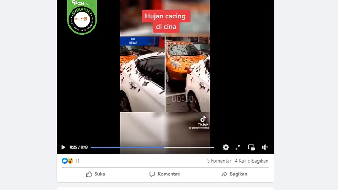 Tangkapan layar klaim video hujan cacing di China