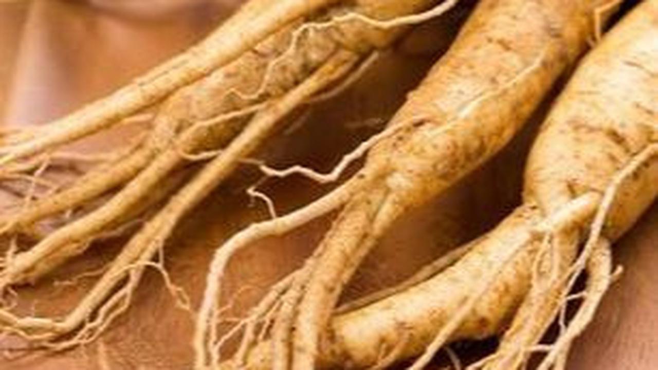 Salah satunya adalah daun ginseng yang dipercaya mampu mencegah kanker hingga menjaga kesehatan hati. Namun ada beberapa khasiat lain yang perlu Anda ketahui. Simak selengkapnya.