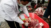 Daging hewan kurban diperiksa untuk memastikan tidak ada cacing hati atau penyakit antrax di Masjid Kauman, Yogyakarta, Senin (12/9).  (Liputan6.com/Boy Harjanto)