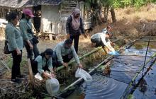 Pemerintah Kabupaten Gunung Mas Jadikan Desa Karya Bhakti Percontohan Program Kapakat