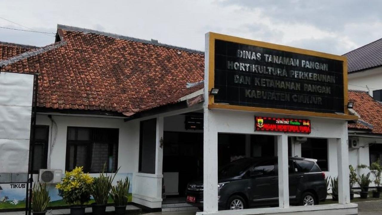 DTPHPKP Cianjur Targetkan Produksi Padi 630 Ribu Ton di Tahun 2026