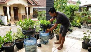 Tips Bikin Aquaponik di Galon Bekas Anti Bau (Foto: AI)
