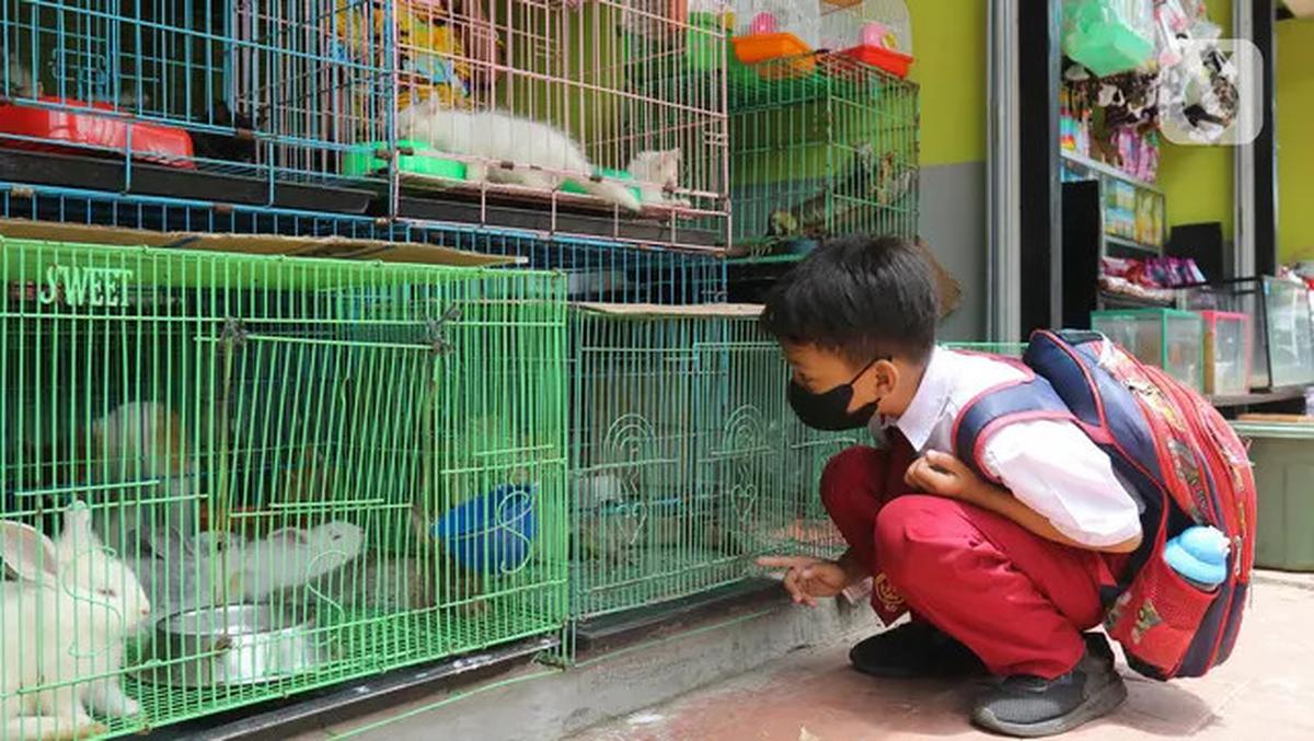 Pemprov DKI Jakarta Wujudkan Kota Berkelanjutan Melalui Penataan Barito dan Pembangunan Sentra Fauna