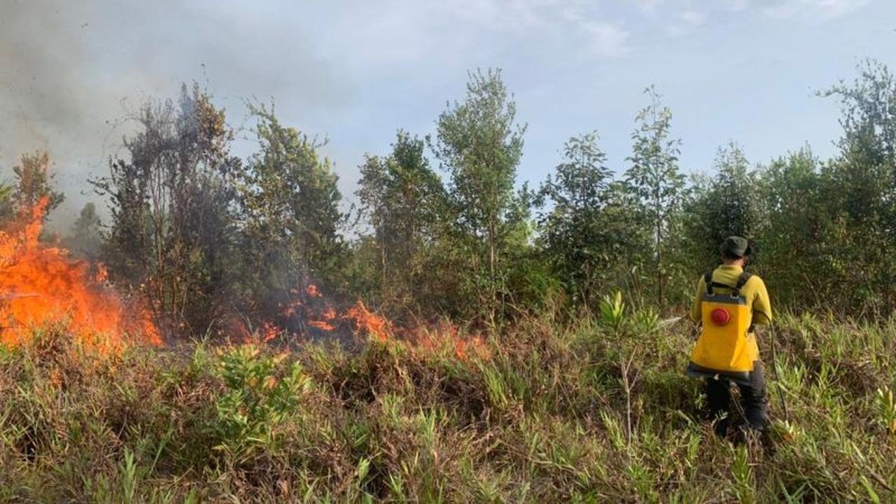BPBD Sukamara Gencar Penanggulangan Karhutla, 85 Hektare Lahan Hangus di Awal 2026