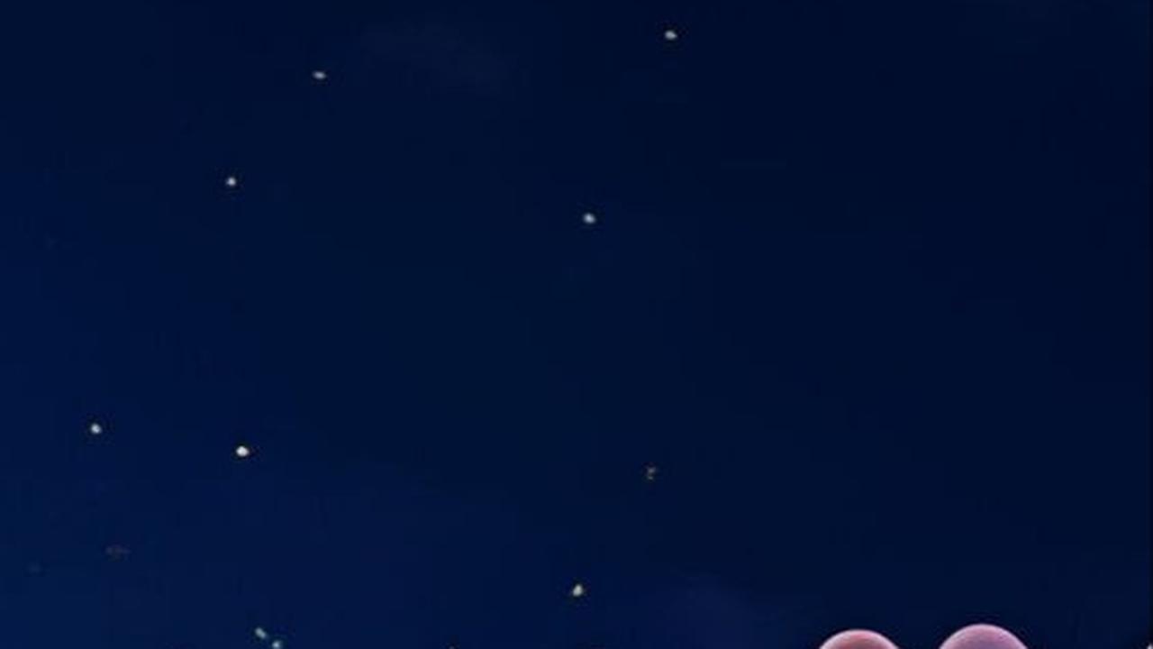 Salat Tarawih dan Witir: Doa Kamilin<br>