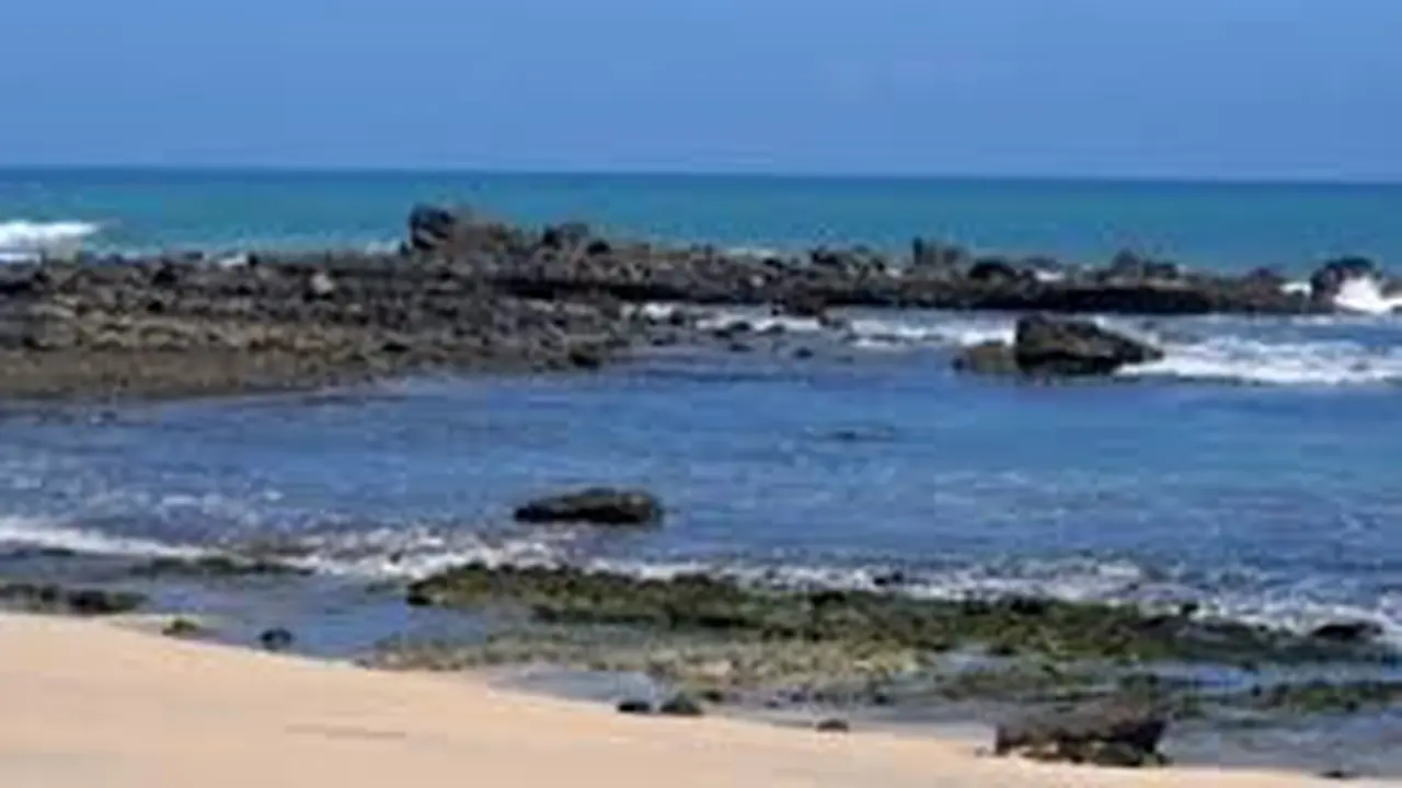 Pantai Pancur Kawasan Taman Nasional Alas Purwo, yang ,menjadi lokasi rukyatul hilal  penetapan 1 ramadan di Kabupaten Banyuwangi (Istimewa)