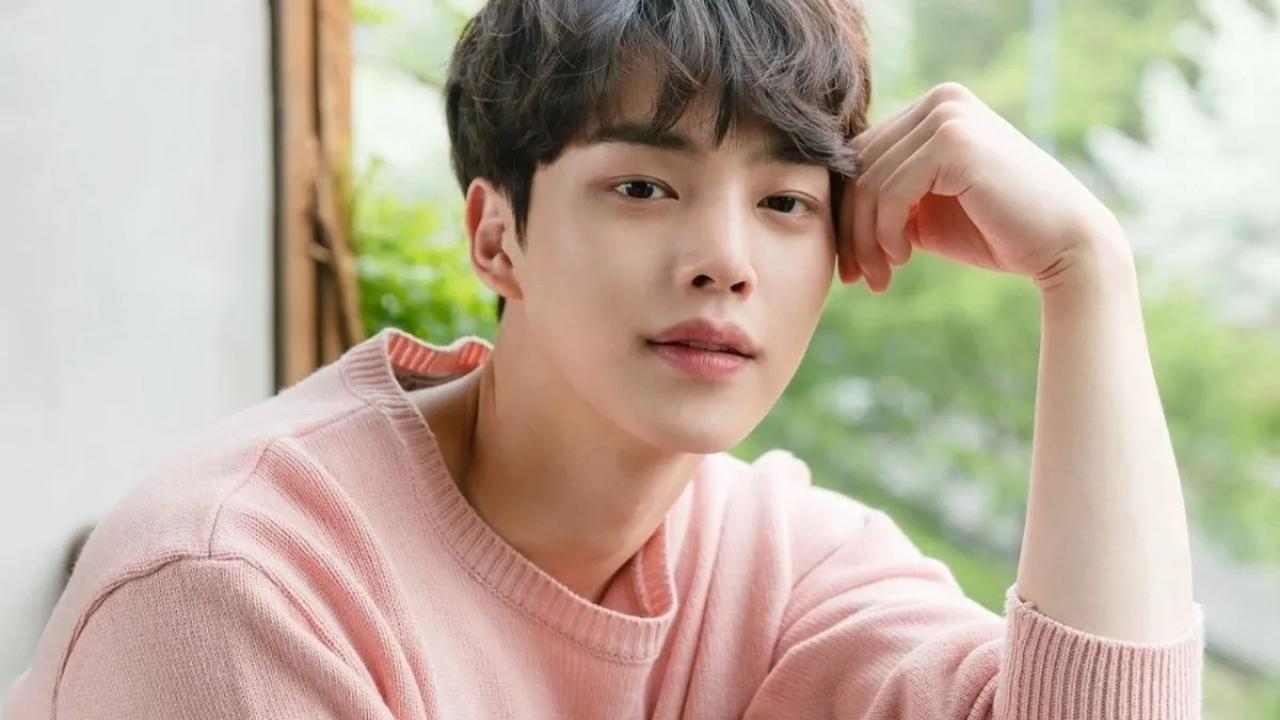 Aktor muda Korea Selatan, Song Kang memiliki julukan Son of Netflix. Penyebabnya karena sebagian besar drama yang dibintanginya 'dipinang' untuk tayang di Netflix.