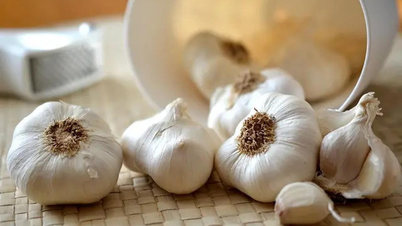 7 Bahan Dapur yang Ampuh untuk Mengusir Ular di Rumah