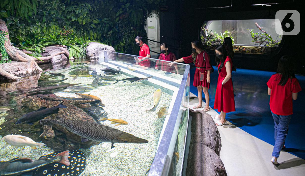 Jakarta aquarium & safari
