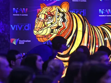 Instalasi harimau Sumatera saat peluncuran Vivid Sydney, Australia (17/3). Vivid Sydney adalah festival terbesar dunia cahaya, musik dan ide-ide mengubah bangunan kota atau ikon menjadi tontonan penuh warna, berlangsung hingga 18 Juni. (AFP/William West)