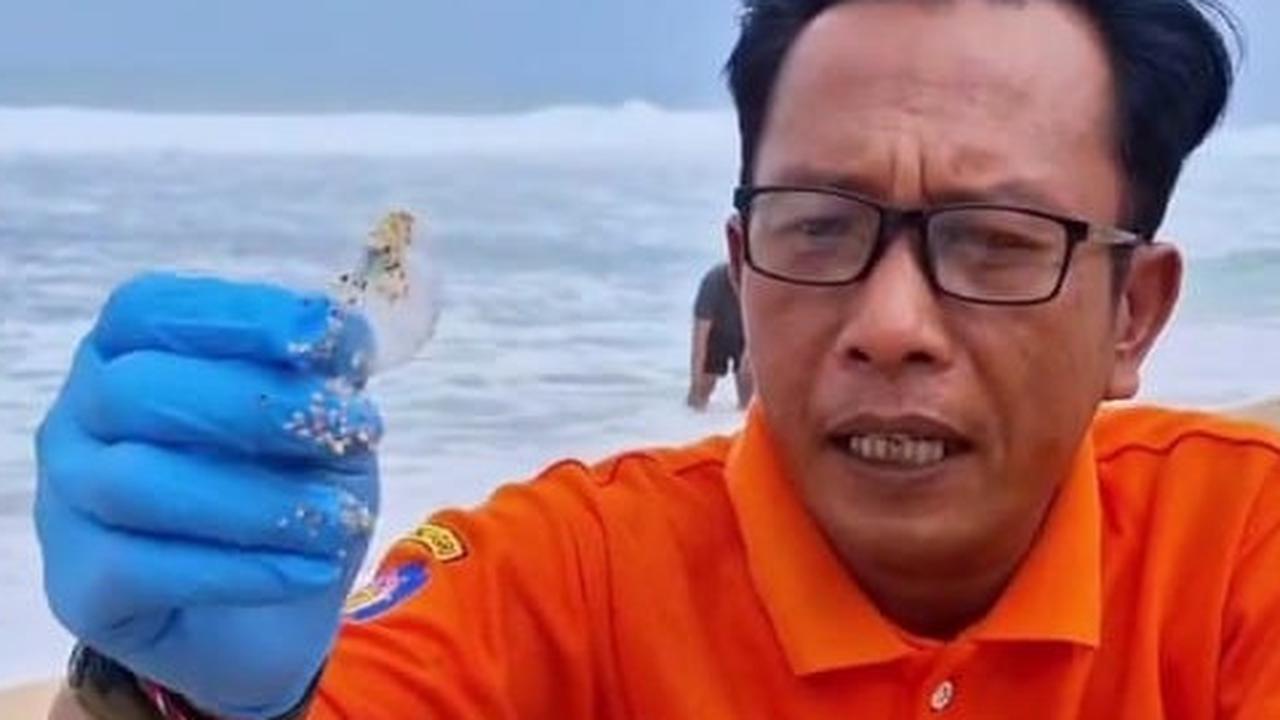 Puluhan Wisatawan Tersengat Ubur-Ubur di Pantai Selatan DIY, Anak-Anak Kira Binatang di Film Spongebob