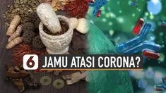 Baru-baru ini ramai dibicarakan soal jamu yang bisa menangkal virus corona atau Covid-19. Senyawa kurkumin yang ditemukan pada jahe, kunyit dan temulawak dianggap mampu menekan badai sitokin pada pasien Covid-19.