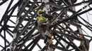 Pekerja menyelesaikan perbaikan menara saluran udara tegangan ekstra tinggi (SUTET) di Jakarta, Rabu (15/2/2023). Para pekerja yang ditugaskan wajib dilengkapi standar alat keselamatan diri karena profesi ini sangat berisiko, bahkan bertaruh nyawa. (merdeka.com/Iqbal S. Nugroho)