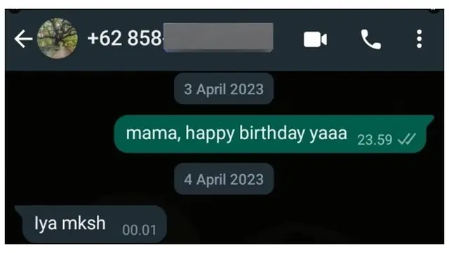 6 Balasan Chat Ibu Dapat Ucapan Selamat Ultah dari Anak Ini Bikin Senyum Tipis