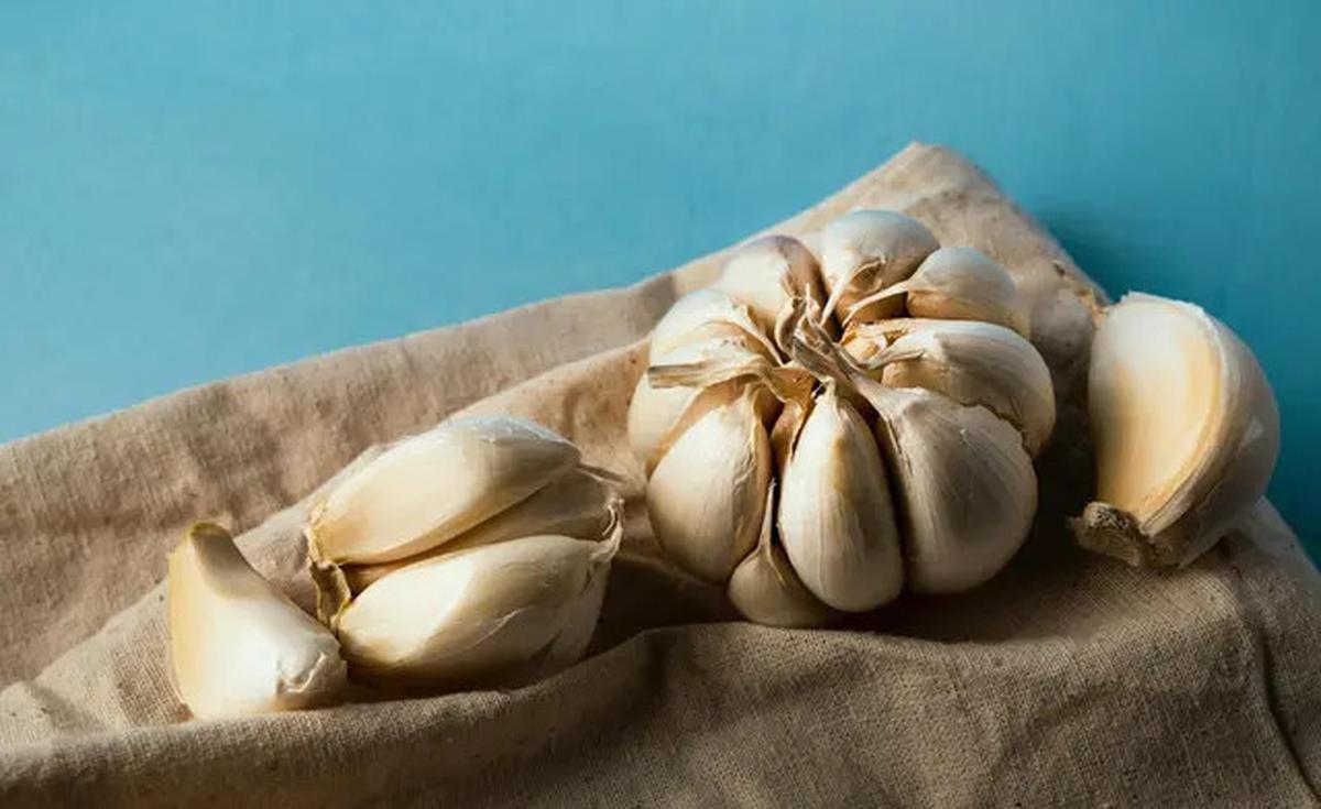 Cara Merebus Singkong di Magic Com, Empuk dan Pulen Tanpa Repot