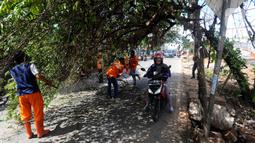 Petugas membantu pengendara motor melewati pohon yang hampir tumbang dan melintang di Jalan Raya Pondok Cabe, Tangerang Selatan, Banten, Sabtu (21/1/2023). Pohon ceri tersebut hampir tumbang awalnya disebabkan adanya perbaikan kabel telekomunikasi yang ditinggalkan begitu saja oleh teknisi. (merdeka.com/Arie Basuki)