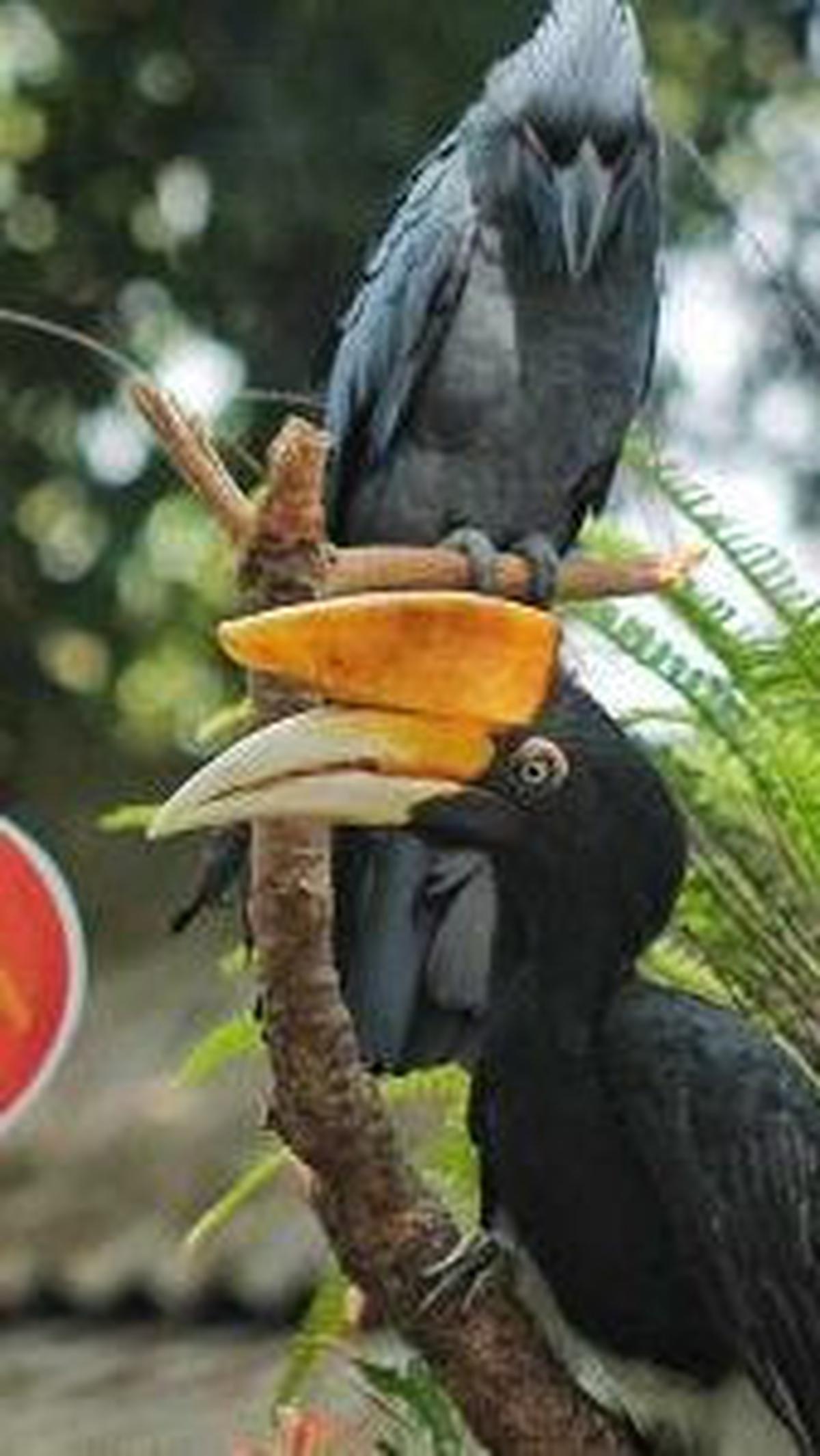 <b>Wisata Edukasi Agrowisata dan Satwa</b>