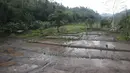 Pemandangan lahar dingin disertai lumpur pekat menutupi sawah di sekitar Sungai Yeh Sah di desa Rendang, Karangasem, Bali, Rabu (6/12). Lahar dingin tersebut keluar dari sepanjang hulu Gunung Agung. (Liputan6.com/Immanuel Antonius)