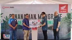 Lestarikan Pesisir Belitung, Honda Babel Tanam 500 Pohon Mangrove