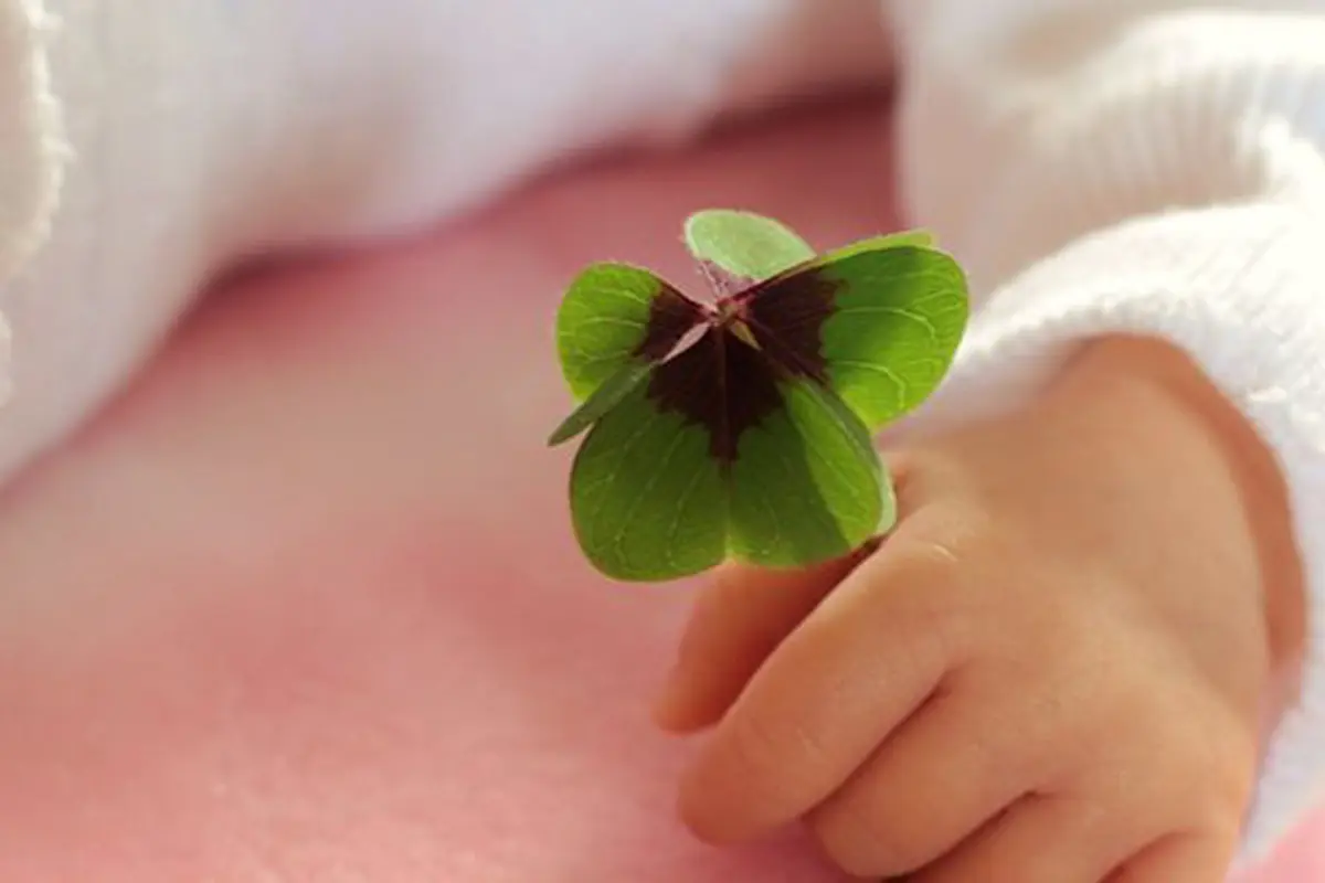 Ilustrasi./Copyright pixabay.com