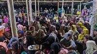 297 Warga Rohingya Tiba di Aceh, Mayoritas Perempuan