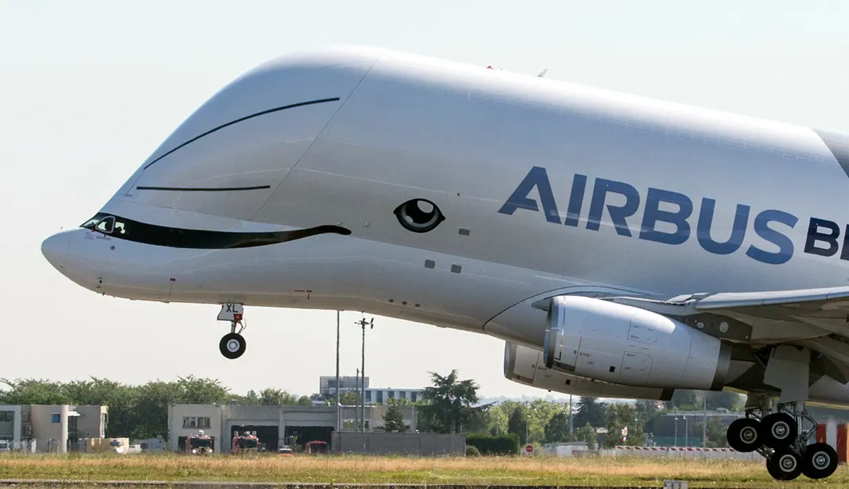 Pesawat Airbus Beluga XL bersiap lepas landas pada uji coba penerbangan perdananya di bandara Toulouse-Blagnac, Prancis, Kamis (19/7). Uji coba ini dilakukan untuk memastikan pesawat tersebut layak untuk mengangkut penumpang. (AP/Frederic Scheiber)
