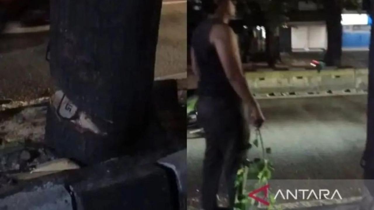 Penebangan Pohon Ilegal di Kebayoran Lama: Jaksel Pastikan Tak Ada Izin, Oknum ASN Diduga Terlibat