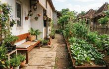 9 Tips Memanfaatkan Teras Rumah untuk Berkebun agar Lebih Hemat Belanja Sayur