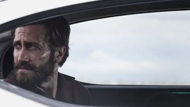 Nocturnal Animals