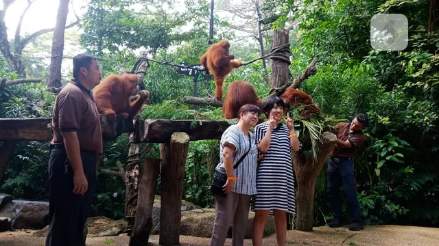Singapore Zoo