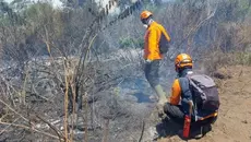 Kebakaran Semeru Mendekati Permukiman