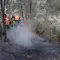 Karhutla Gunung Bromo Capai 550 Hektare
