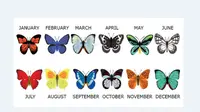 Temukan apa yang dikatakan oleh kupu-kupu dari bulan kelahiran Anda tentang Anda dan kepribadian Anda di sini.