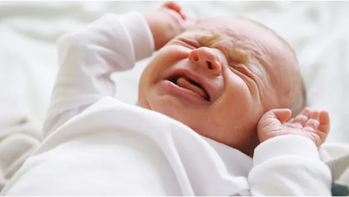 Courtesy ShutterStock.com