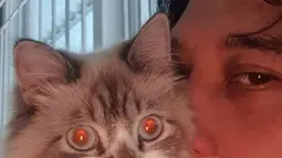 Begitu sayangnya Tengku Firmansyah terhadap Nina, kucing miliknya. Keduanya berpose bersama. (Foto: Instagram/@tengku_firmansyah)