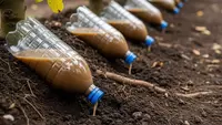 4 Teknik Infus Nutrisi untuk Pohon Buah yang Sulit Berbuah, Panen Lebat Sepanjang Musim
