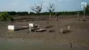 Pemakaman di Desa Pantai Bahagia terendam air, Muara Gembong, Kabupaten Bekasi, Jawa Barat, Jumat (9/6). Banjir rob sering terjadi di kawasan tersebut dengan ketinggian air mencapai 50 cm.(Liputan6.com/Gempur M Surya)