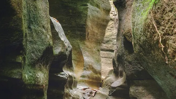 [Bintang] Jawa Tengah