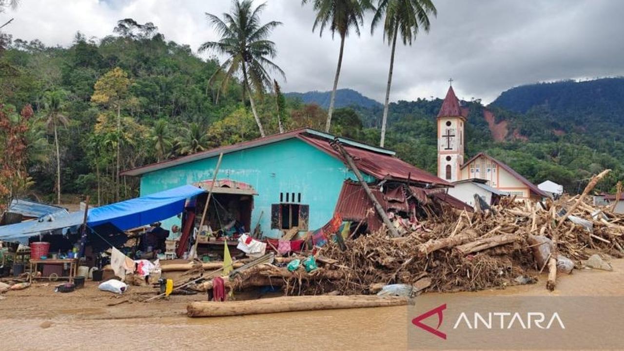 Dampak Banjir Huta Nabolon: Kebun Kakao dan Sawah Siap Panen Rusak Parah, Petani Merugi