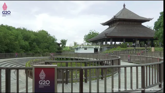 Kawasan Hutan Tahura Mangrove, Bali yang akan dikunjungi para delegasi G20. (Liputan6/Benedikta Miranti)